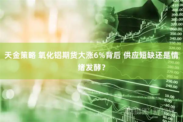 天金策略 氧化铝期货大涨6%背后 供应短缺还是情绪发酵？