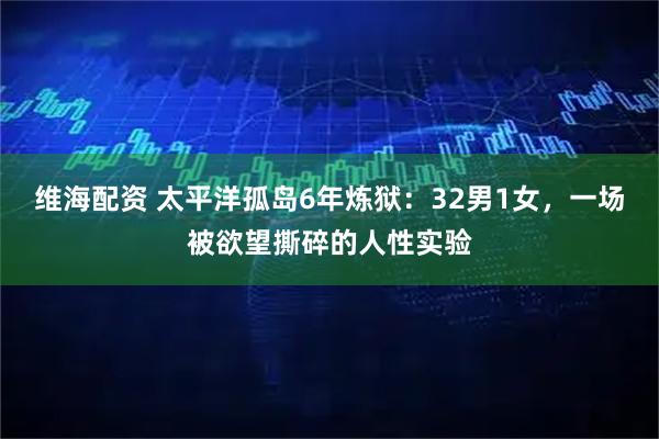 维海配资 太平洋孤岛6年炼狱：32男1女，一场被欲望撕碎的人性实验