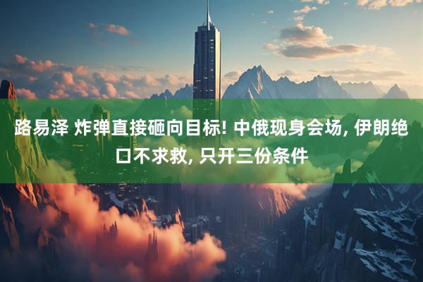 路易泽 炸弹直接砸向目标! 中俄现身会场, 伊朗绝口不求救, 只开三份条件